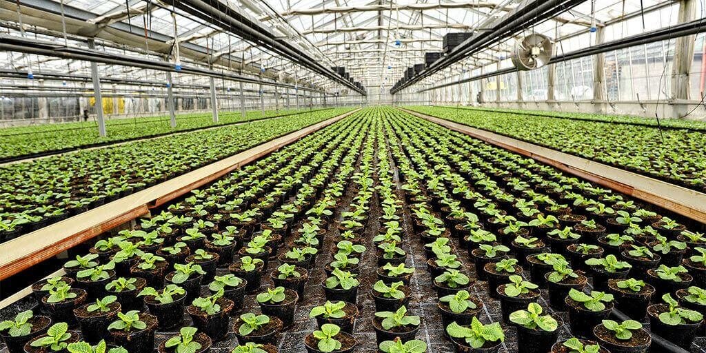 Monitoramento de condutividade elétrica da água de estufas