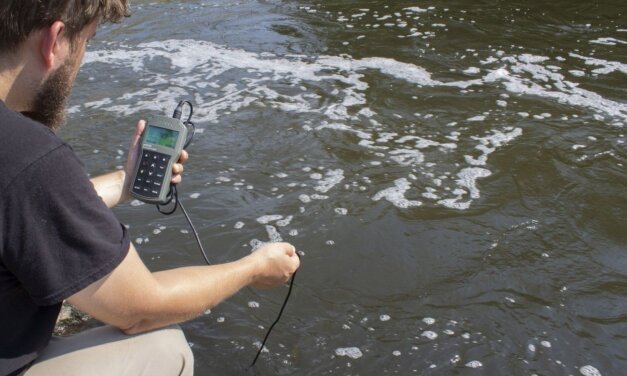 Um Guia para Iniciantes em Medição de Oxigênio Dissolvido