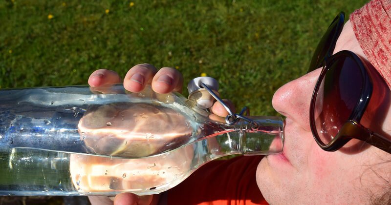 Staphylococcus-aureus