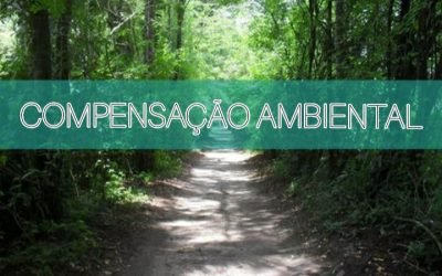 A importância da compensação ambiental