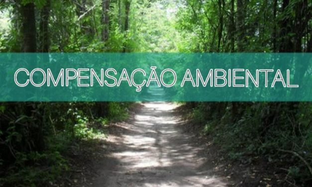 A importância da compensação ambiental