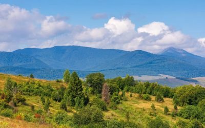 O que é Resiliência à Água?