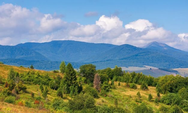 O que é Resiliência à Água?