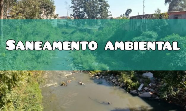 Saneamento Ambiental