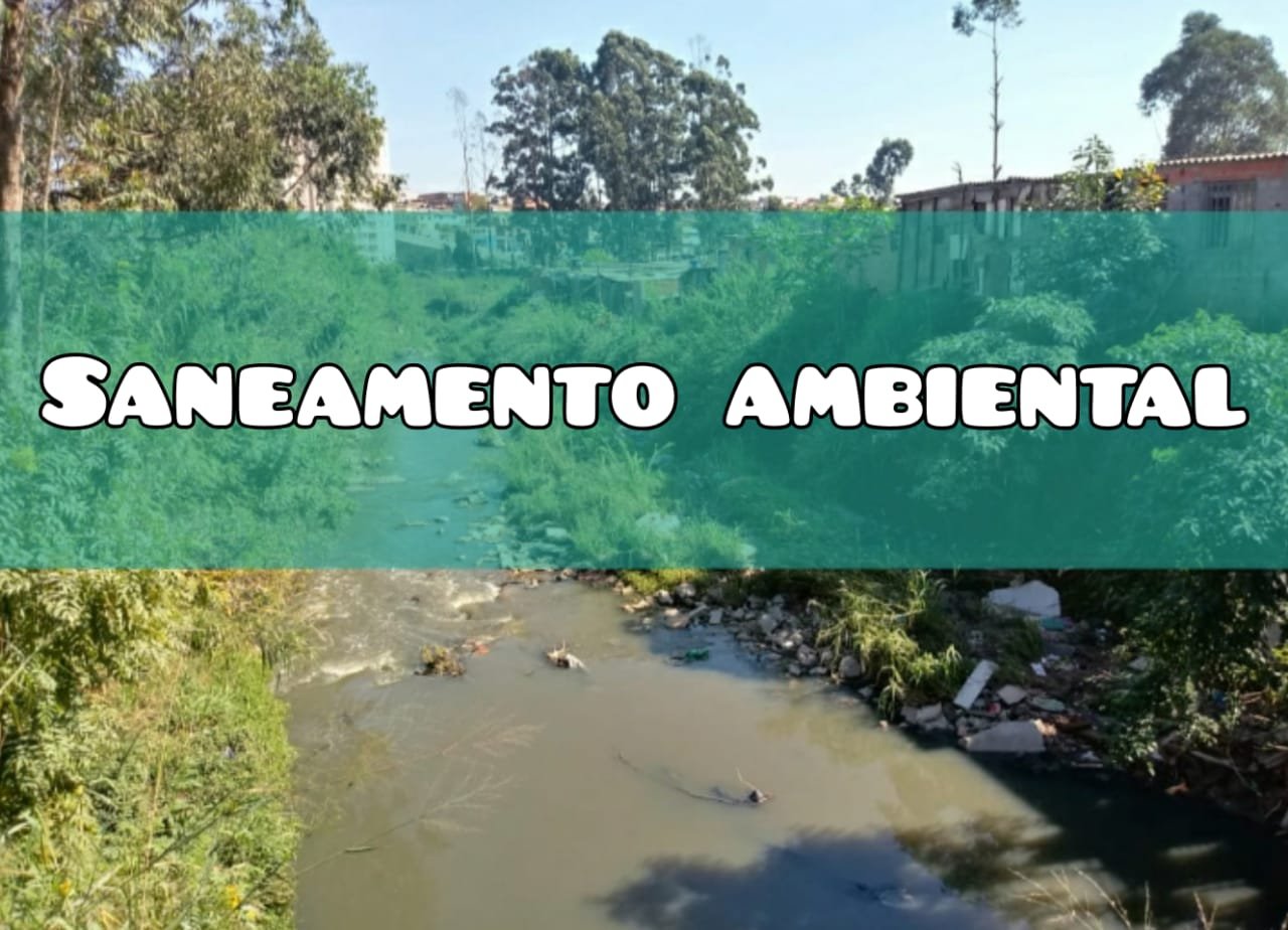 serginho_ambiental_serginho