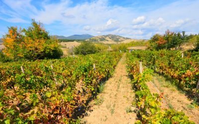 Israel é um Dos Primeiros do Mundo na Reciclagem de Água