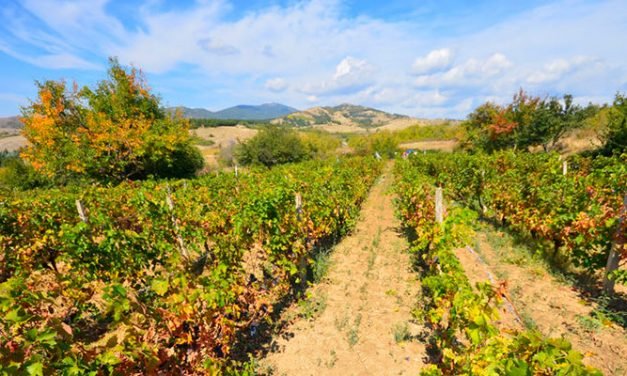Israel é um Dos Primeiros do Mundo na Reciclagem de Água
