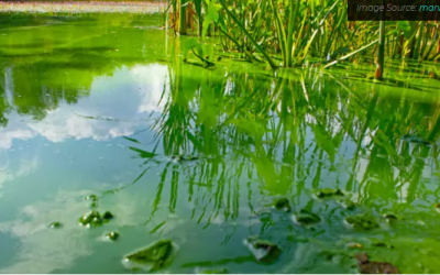 Controle de odor e algas com aeração