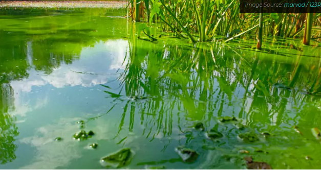 Controle de odor e algas com aeração