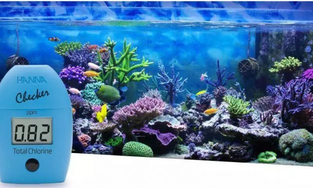 A importância do cloro em aquários e na aquicultura