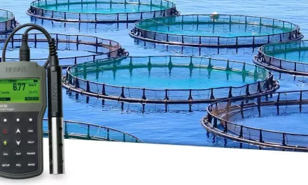 Importância da medição de OD no transporte de peixes vivos