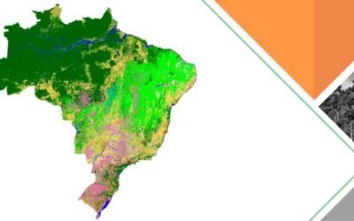 Um terço da perda de vegetação nativa do Brasil desde o descobrimento aconteceu nos últimos 37 anos