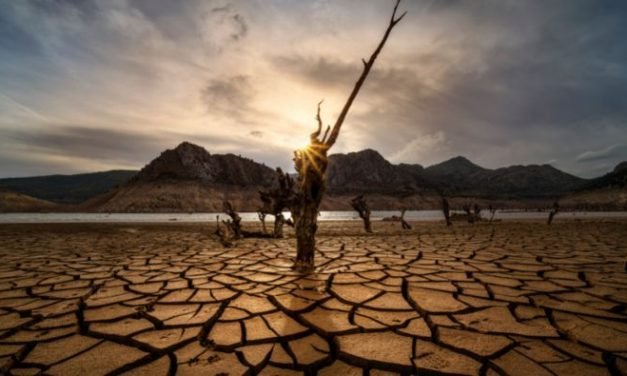 Desafios e oportunidades na gestão de riscos de secas e de inundações