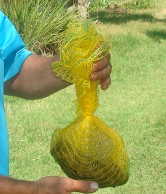 amostrador_artificial amostrador_artifical