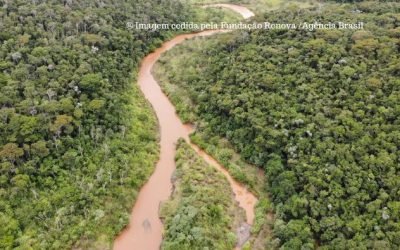 Meio Ambiente anuncia fundos para compensar perdas em Mariana