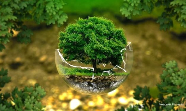 Fenasan 2022: Prêmio Expositores passa a considerar conceitos de ESG