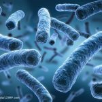 Abordagens biológicas para combater a Legionella