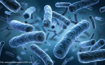 Abordagens biológicas para combater a Legionella