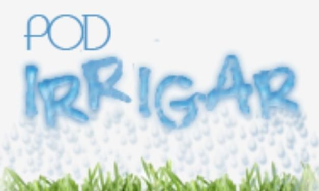 Pesquisador destaca o potencial do Brasil na produção de energia renovável