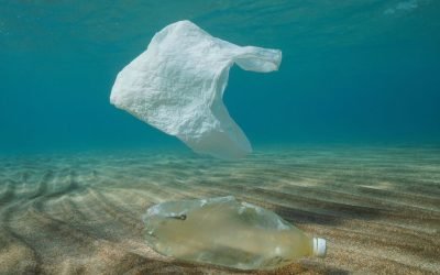 O Brasil está entre os 20 países que mais contribuem para a poluição nos oceanos