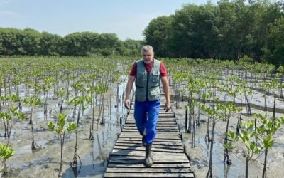 Não há mal nem paciência que dure para sempre