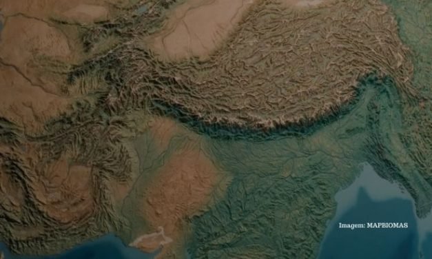 Ocupação de APPS às margens de rios e córregos dobrou entre 1985 e 2020