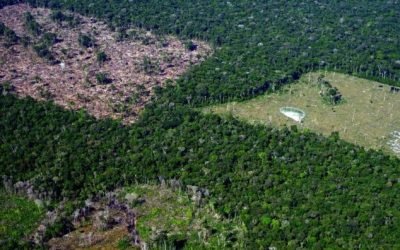 Continuidade do desmatamento fará Brasil ultrapassar em 137% a meta de emissões para 2030