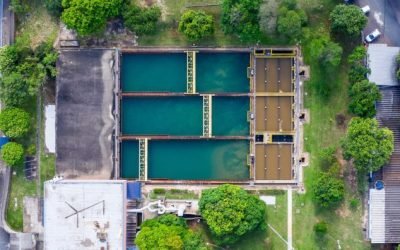 Florestas conservadas e restauradas melhoram a qualidade da água de Campinas e região