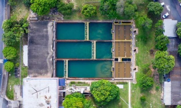 Florestas conservadas e restauradas melhoram a qualidade da água de Campinas e região