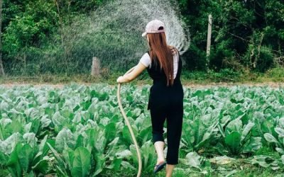 Garantindo uma gestão sustentável da água para todos até 2030