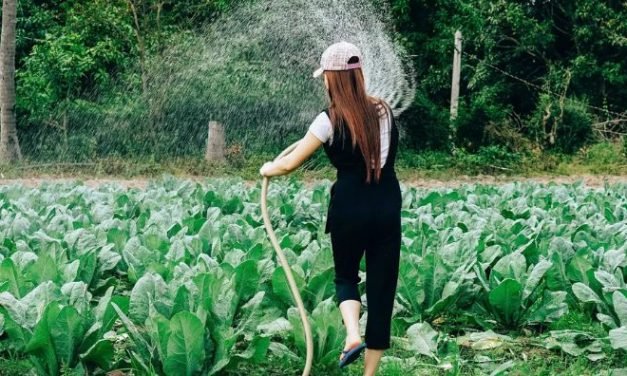 Garantindo uma gestão sustentável da água para todos até 2030