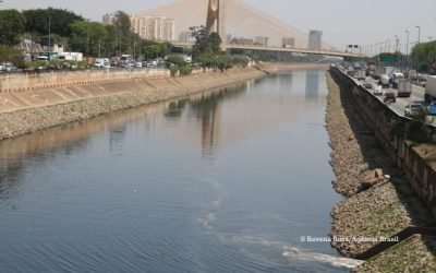 SOS Mata Atlântica: mancha de poluição do Rio Tietê cresce 40%