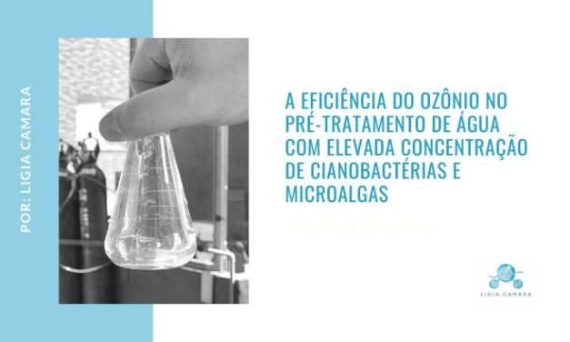 A eficiência do ozônio no pré-tratamento de água com elevada concentração de Cianobactérias e Microalgas