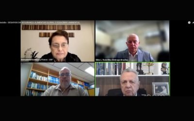 Brasil tem condições de garantir segurança alimentar para o mundo com sustentabilidade