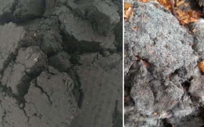 Reaproveitamento do lodo produzido em ETEs para reciclá-lo e transformá-lo em adubo