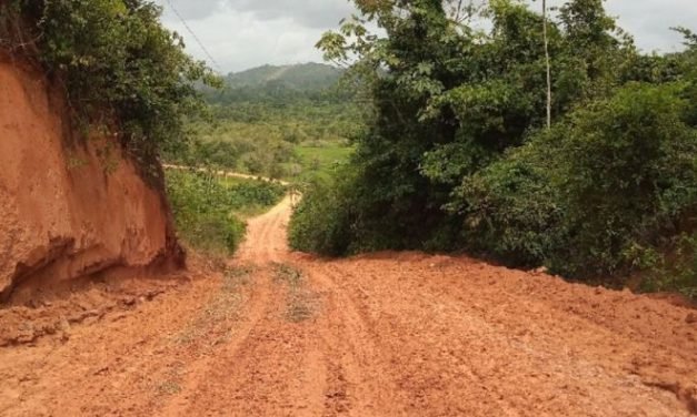Na Amazônia, estradas associadas à mineração causam grandes danos ambientais