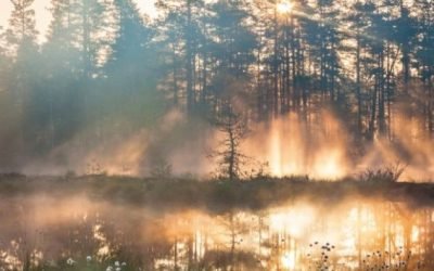 A água é fundamental para o sucesso da ação climática