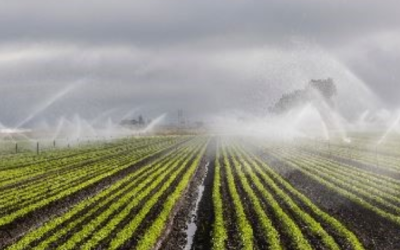 A liderança política é fundamental para o desenvolvimento do reuso de água na Europa