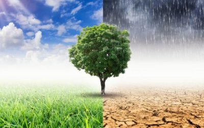 Estudo sobre impactos causados pela crise climática nos portos de Santos (SP), Rio Grande (RS) e Aratu (BA) é lançado em Brasília