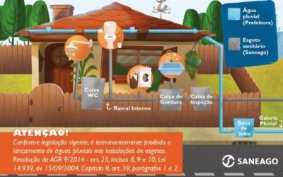 Água da chuva não deve ser direcionada às redes de esgoto