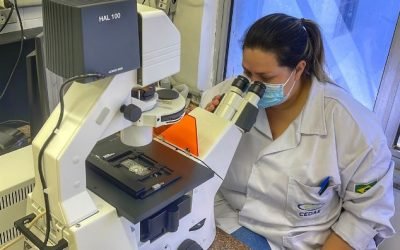 Ações da Cedae levam melhorias ao Norte e Noroeste Fluminense