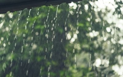 Chegada do El Niño em 2023 promete aumento de chuvas nas Bacias PCJ