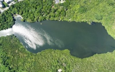 Espelho d’água da Lagoinha das Taxas, no Recreio, fica limpo após Fundação Rio-Águas remover gigogas