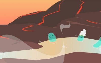 “Água fervente para nós é refresco!”: os locais preferidos para micróbios amantes do calor