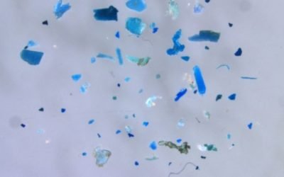 Nova forma de analisar a poluição por microplástico pode facilitar a avaliação dos impactos ambientais