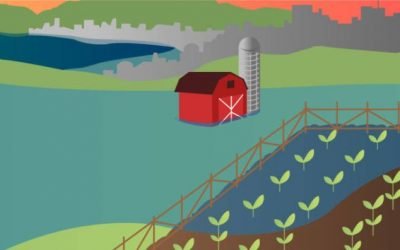 Por que devemos nos preocupar com as alterações do nível do mar?