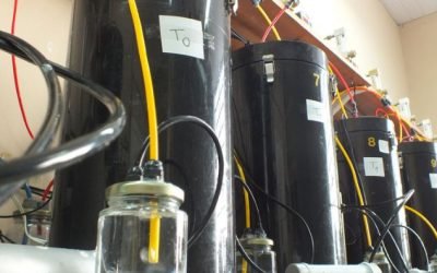 Sistema inédito de biorreatores monitora processos de compostagem em laboratório