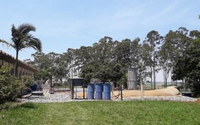 Otimização de recursos e ganhos em sistemas de produção animal