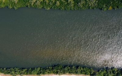 Brasil ganha 1,7 milhão de hectares de água em 2022, mas continua secando