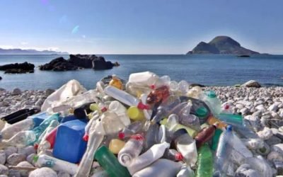 Formação de rochas de plástico no ambiente marinho é mais uma prova da ação do homem no planeta
